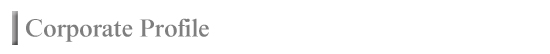 corporate_Profile