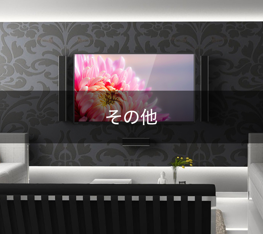 その他
